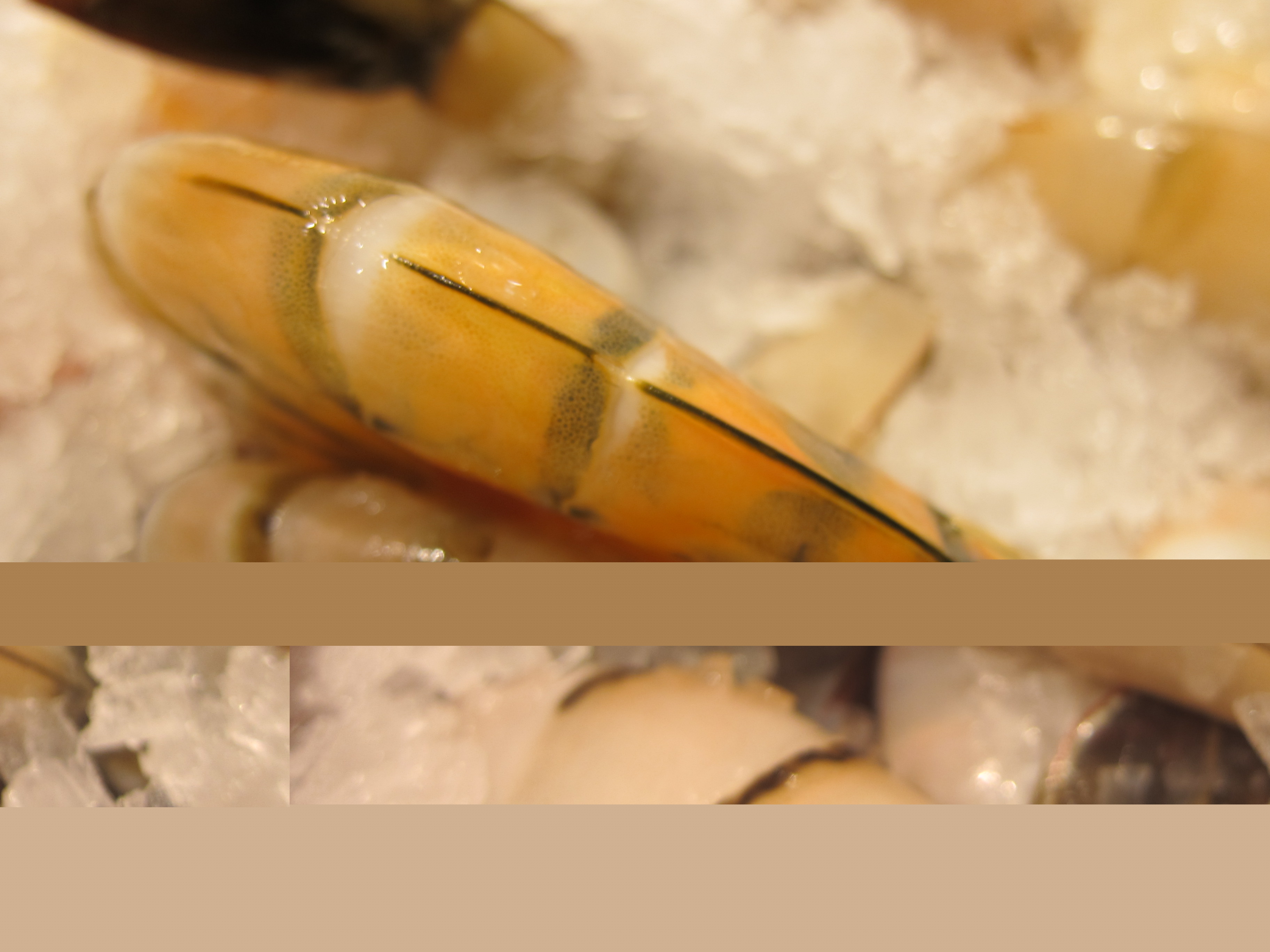 David Rosengarten Guide to Buying Shrimp