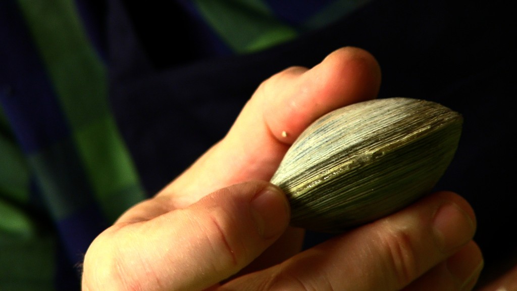 Opening Clams and Oysters The Key Is...Two Different Knives!